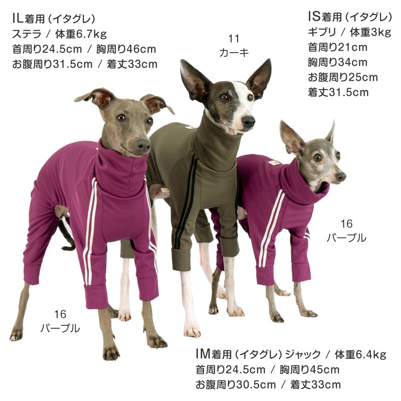 DOGPLAY®體育運動服連身衣（靈緹犬用）