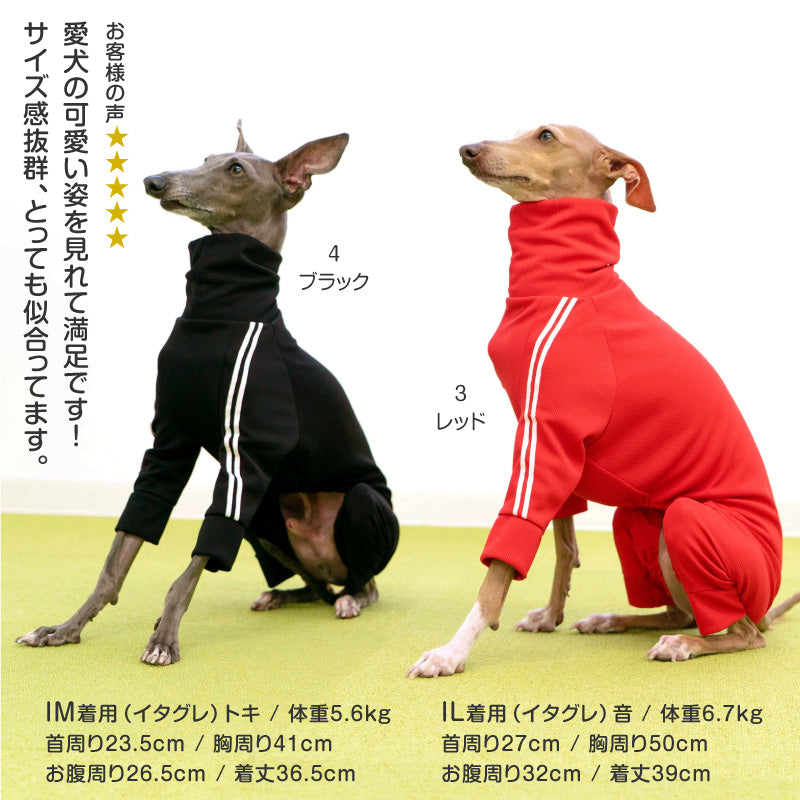 DOGPLAY®體育運動服連身衣（靈緹犬用）