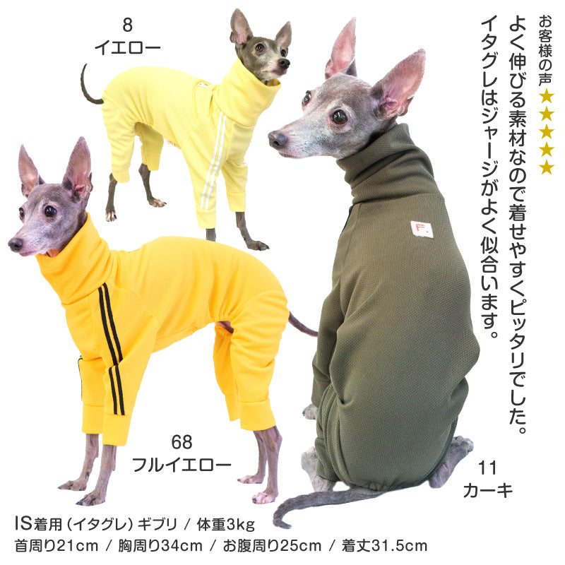 DOGPLAY®體育運動服連身衣（靈緹犬用）