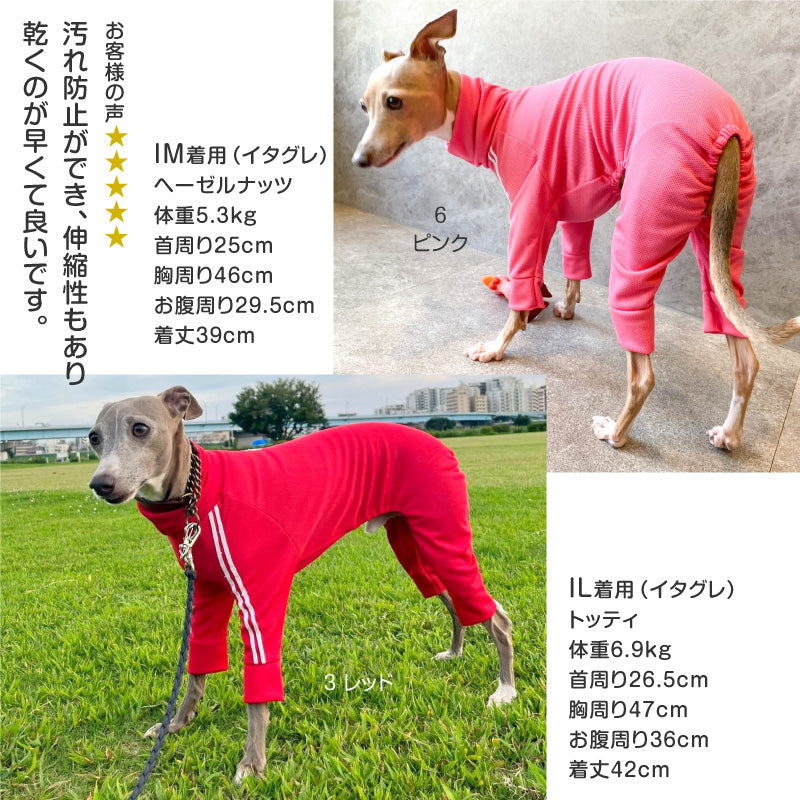 DOGPLAY®體育運動服連身衣（靈緹犬用）