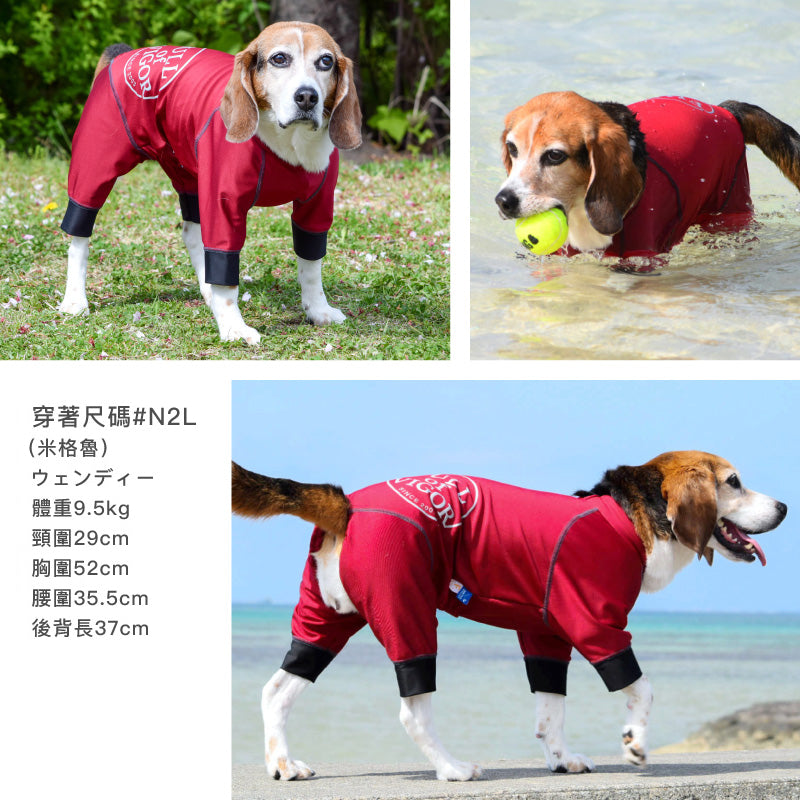 【2023年春夏新款】圓環LOGO印花防潑水Rash Guard(中型犬用)