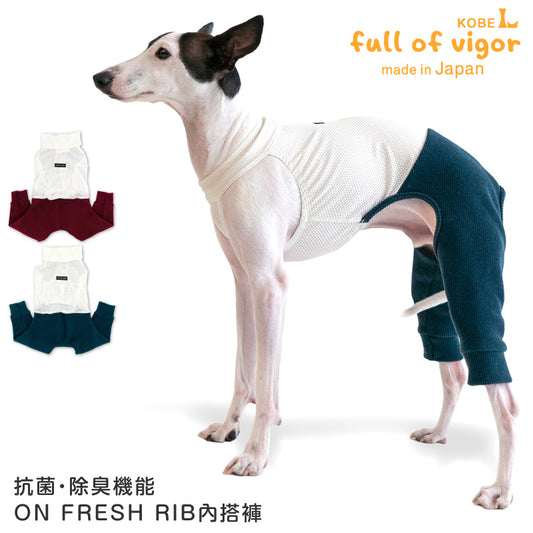 抗菌・除臭機能ON FRESH RIB內搭褲(靈緹犬用)