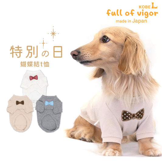 蝴蝶結貼布繡天竺棉T恤(臘腸狗·小型犬用)