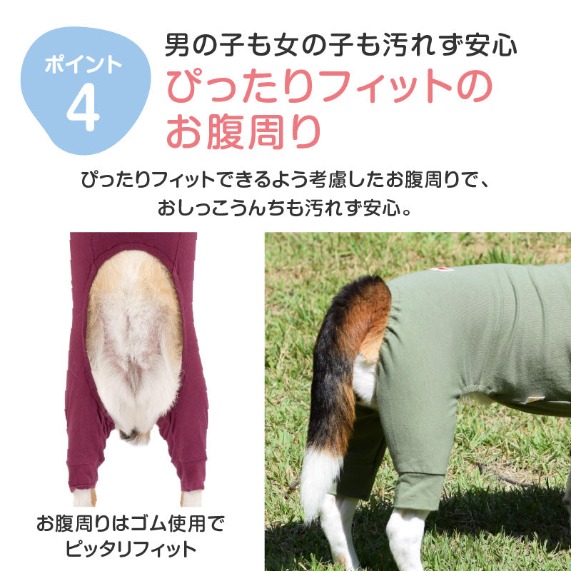 【定番人氣商品】簡約長袖內搭連身衣（中型犬用）