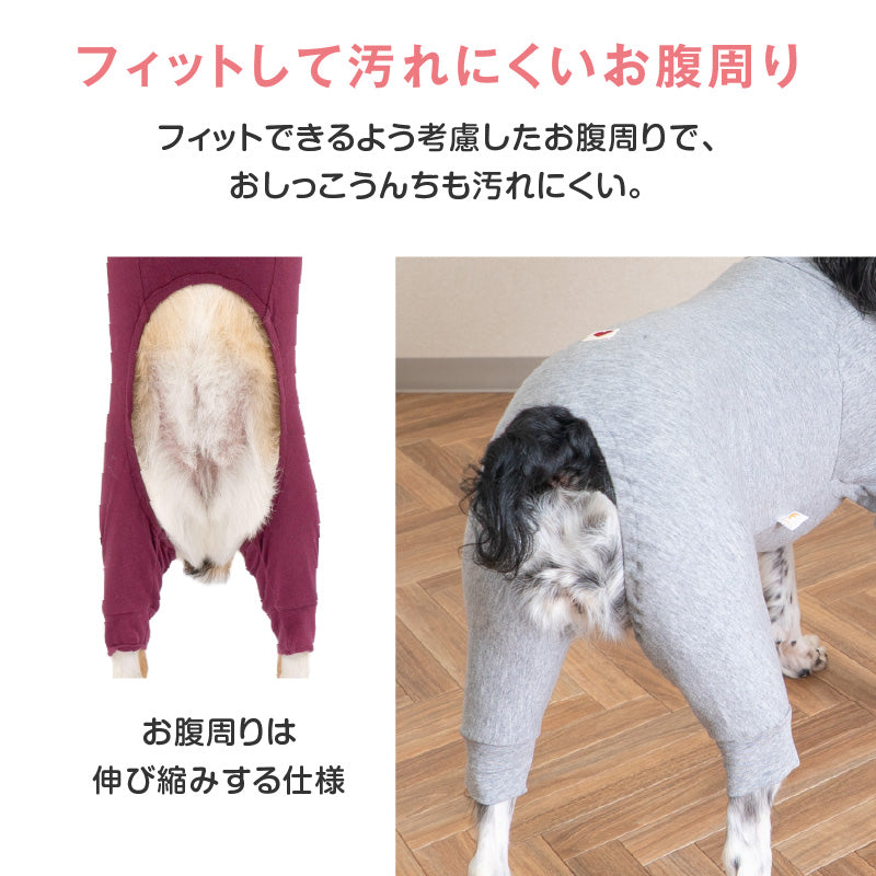 【定番人氣商品】簡約長袖內搭連身衣（中型犬用）