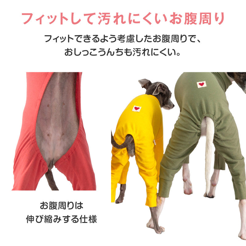 【定番人氣商品】簡約長袖內搭連身衣（靈緹犬用）