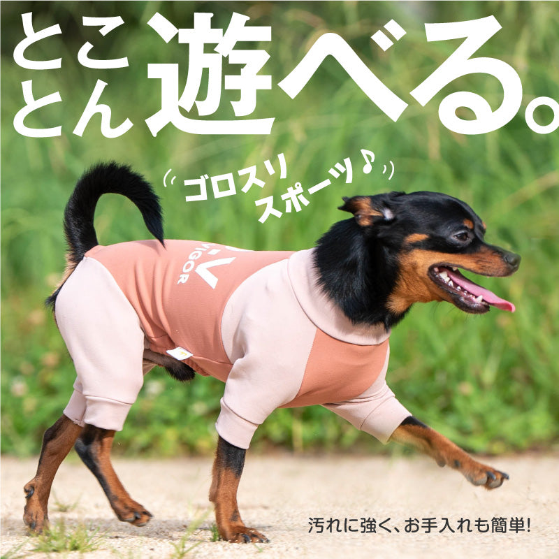 DOGPLAY®內刷毛高彈力Rash Guard(臘腸狗·小型犬用)