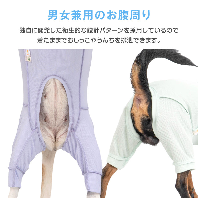 皮膚保護服（皮膚保護服スキンウエア®）(男女兼用/大型犬用/抗菌・除臭素材)