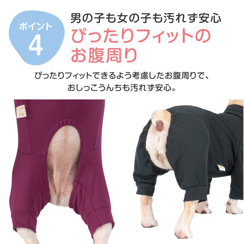 DOGPLAY®體育運動服連身衣(法鬥犬用)