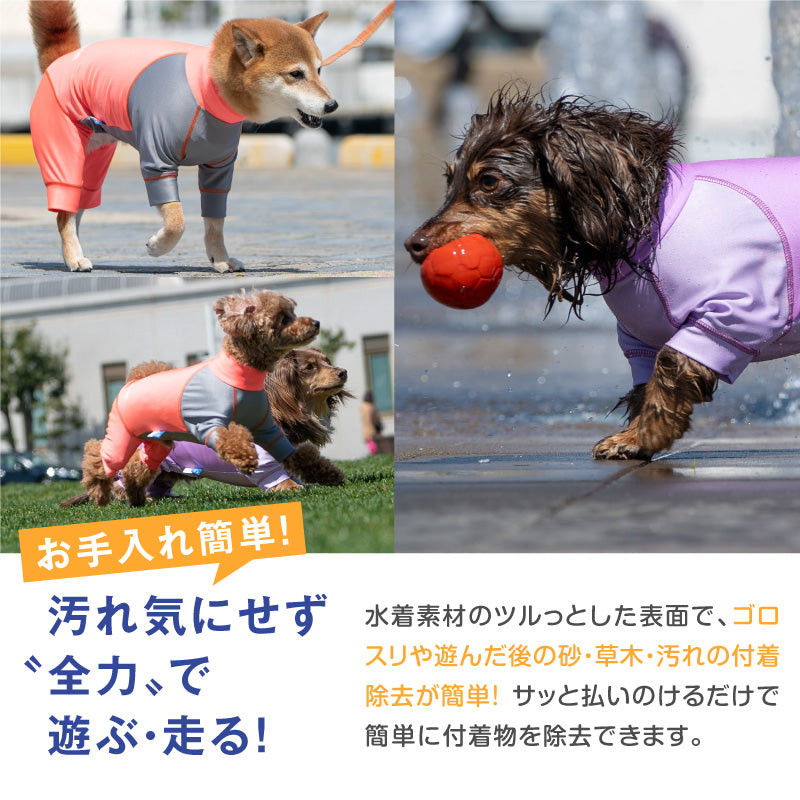 DOGPLAY®雙配色防潑水Rash Guard(臘腸狗・小型犬用)