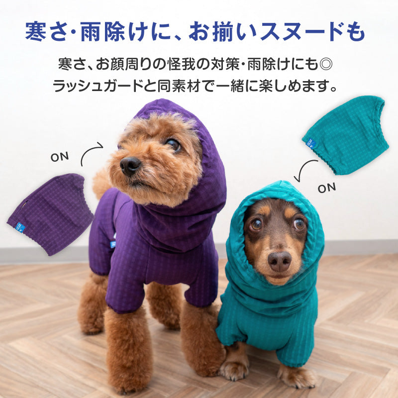 DOGPLAY®防潑水透濕內磨毛Rash Guard（臘腸狗・小型犬用）