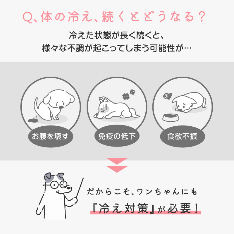 絨毛針織不會移位！不會掙脫！可以穿的肚圍ぽんぽんウエア®️