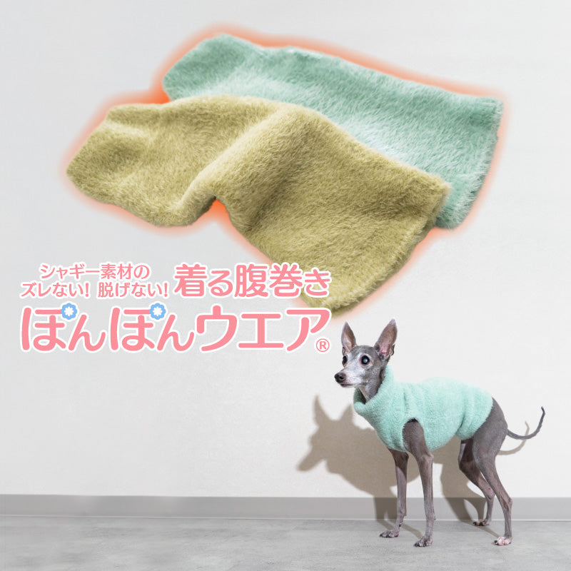 絨毛針織不會移位！不會掙脫！可以穿的肚圍ぽんぽんウエア®️