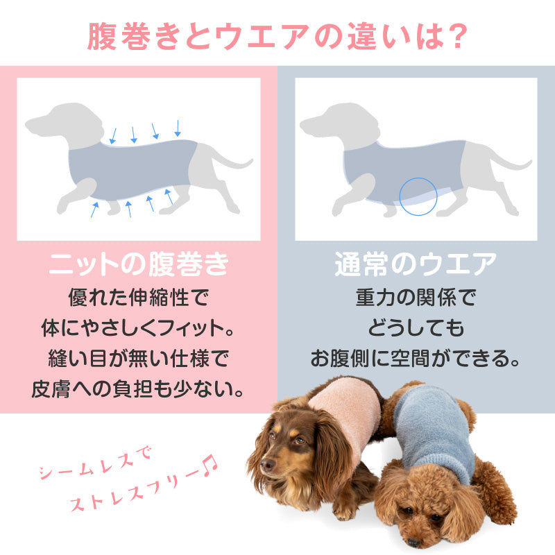 絨毛針織不會移位！不會掙脫！可以穿的肚圍ぽんぽんウエア®️