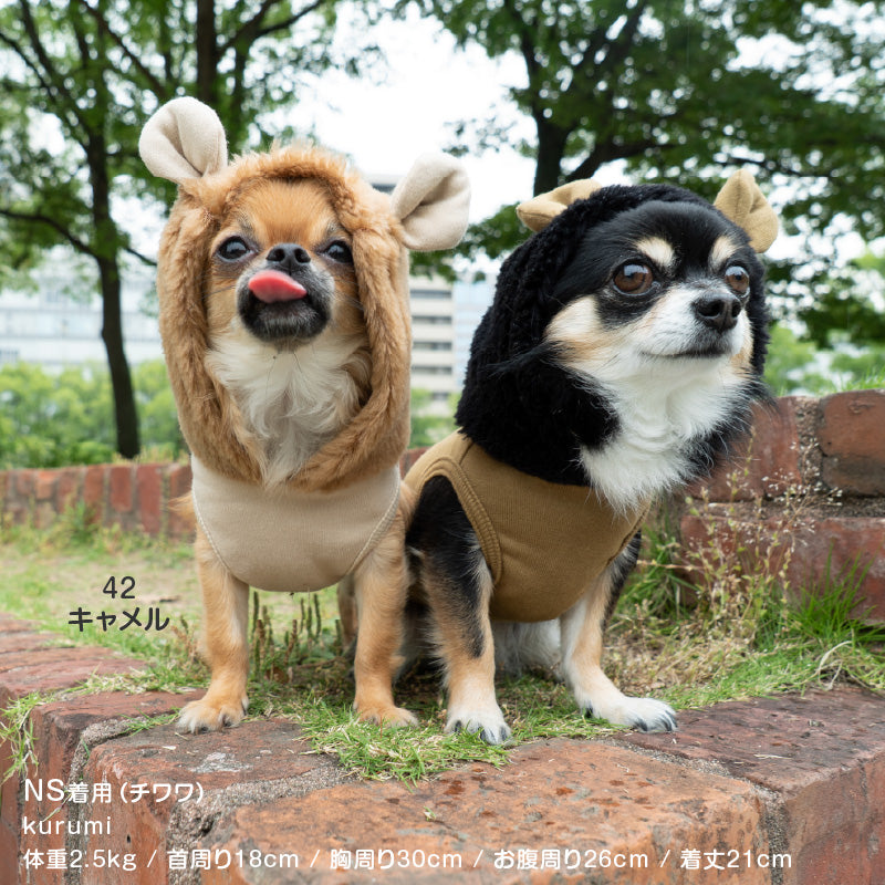 小獅子內磨毛連帽衣（臘腸狗·小型犬用）