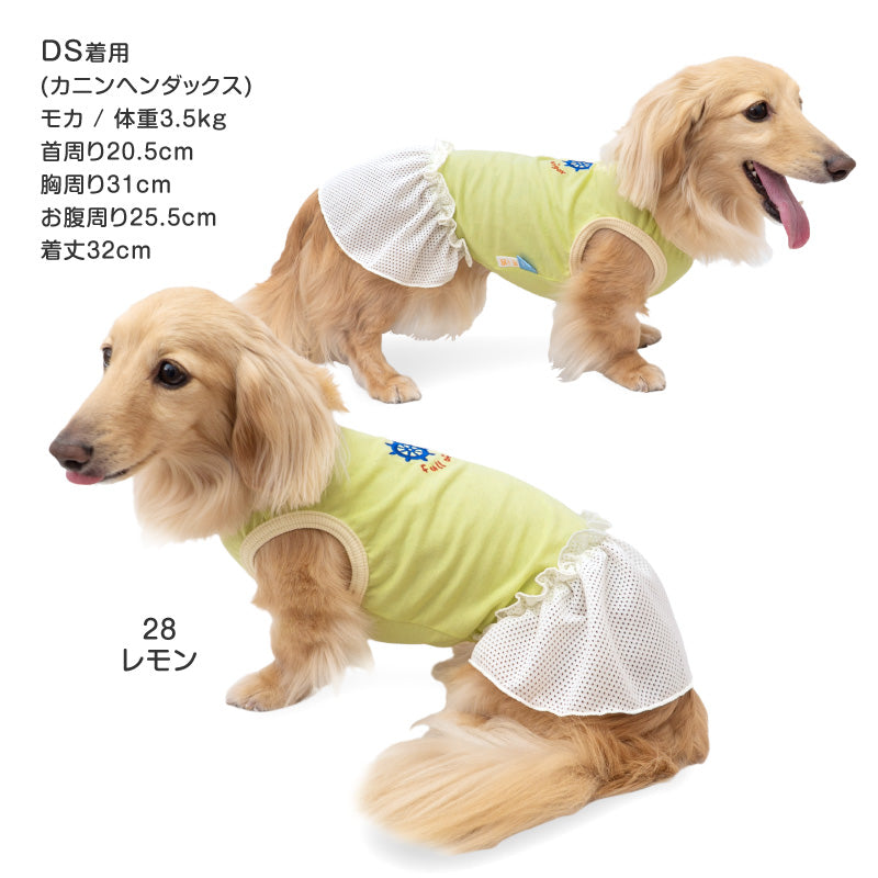 接觸涼感天竺棉刺繡LOGO網布荷葉邊連身裙（臘腸狗・小型犬用）