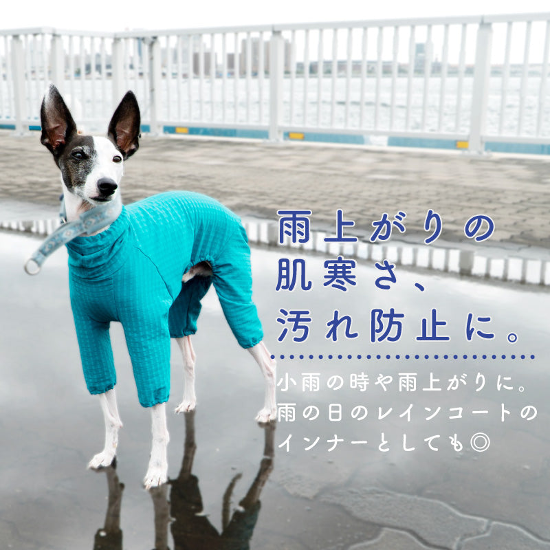 DOGPLAY®防潑水透濕內磨毛Rash Guard（靈緹犬用）