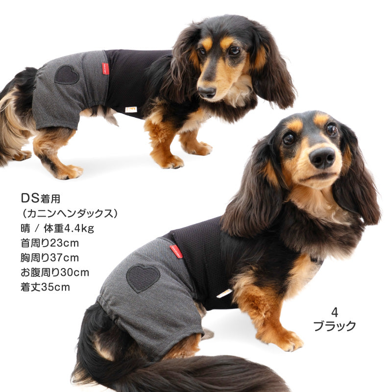 愛心貼布繡丹寧針織連身褲（臘腸狗・小型犬用）