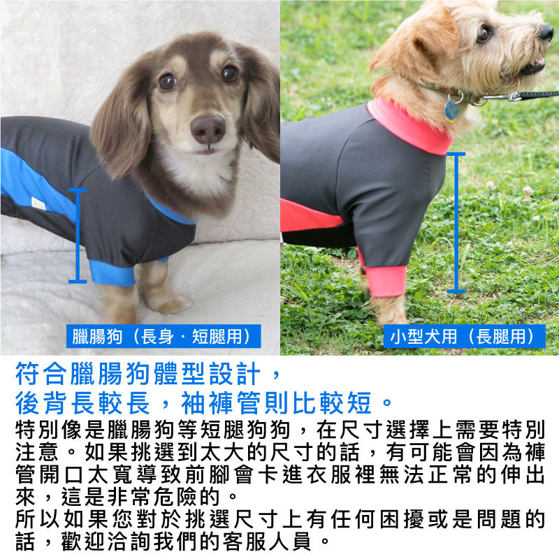 【2020年夏季新款】ドッグプレイ®（Dog Play）防潑水雨衣Rash Guard(臘腸狗・小型犬用)