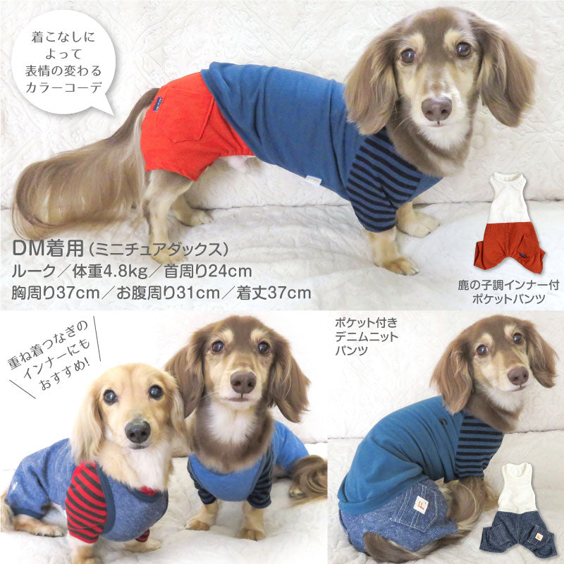 保暖條紋長袖T恤(臘腸狗・小型犬用)