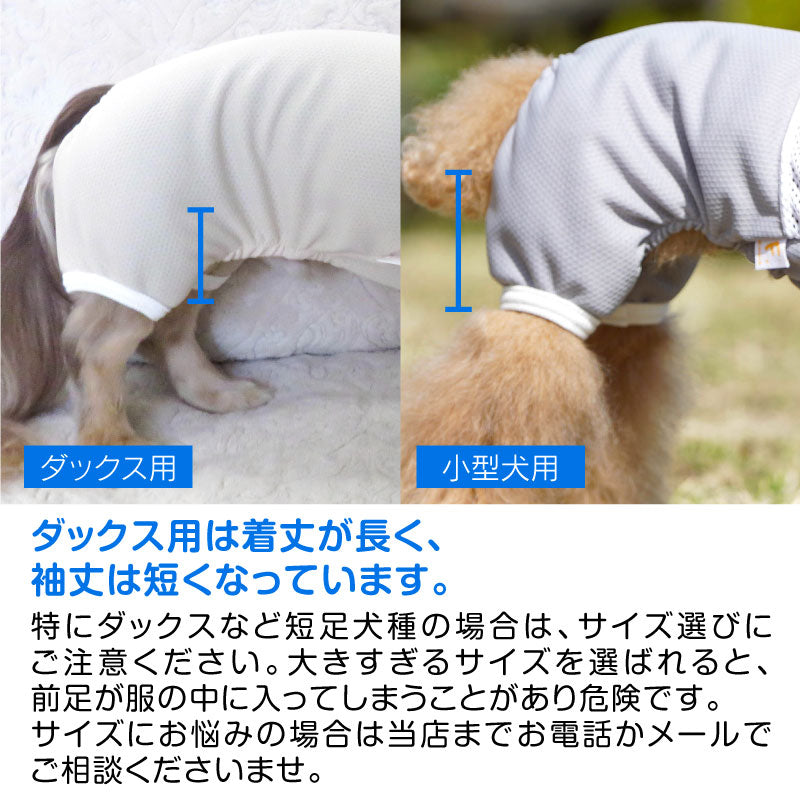【2021年春季新款】反光LOGO印花防蚊連身衣(臘腸狗・小型犬用)