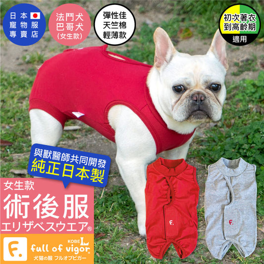 F.天竺棉術後服(術後服エリザベスウエア®)(女用/法鬥·巴哥犬用/彈性材質)