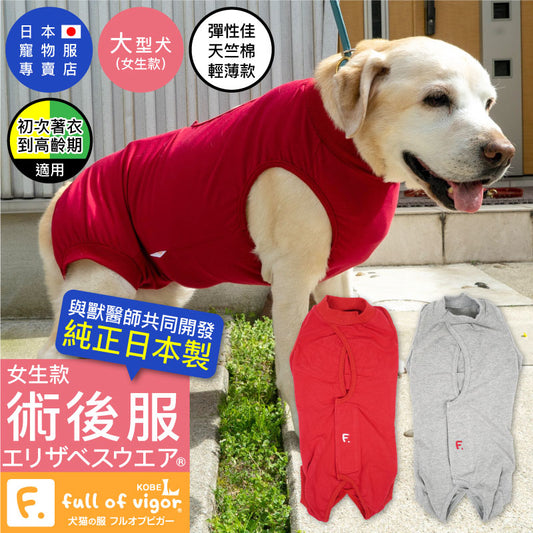 F.天竺棉術後服(術後服エリザベスウエア®)(女用/大型犬用/彈性材質)