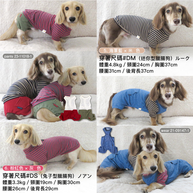 LUX-WARM條紋拉克蘭袖Ｔ恤(臘腸狗・小型犬用)