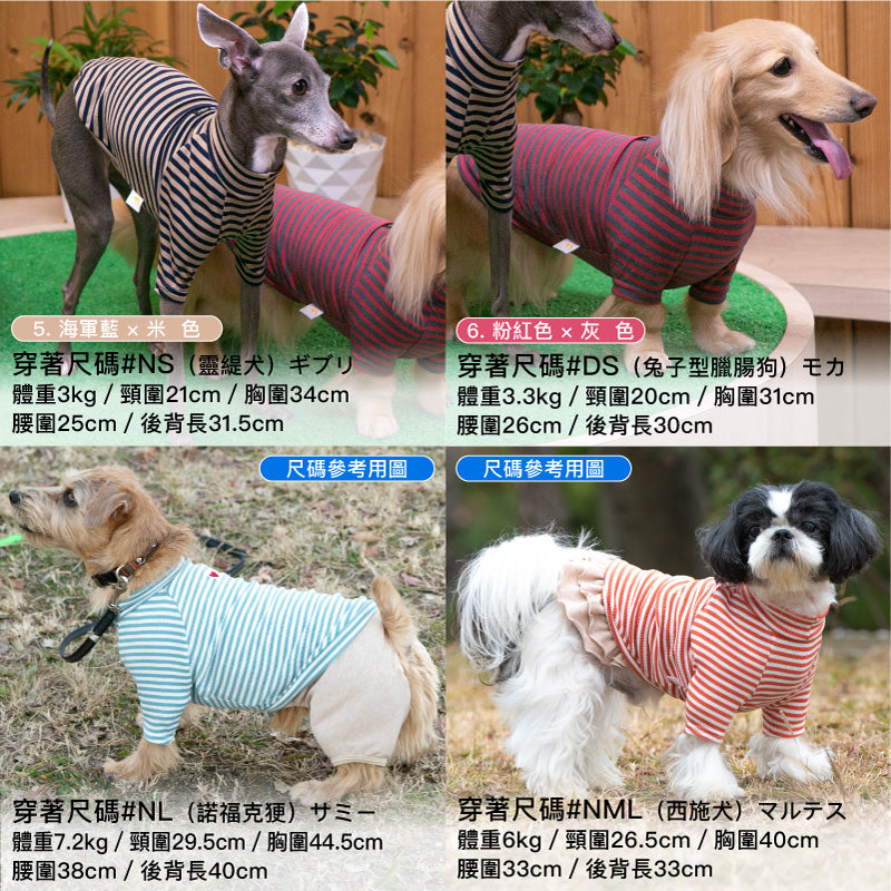 【2023年秋冬新款】LUX-WARM條紋拉克蘭袖Ｔ恤(臘腸狗・小型犬用)